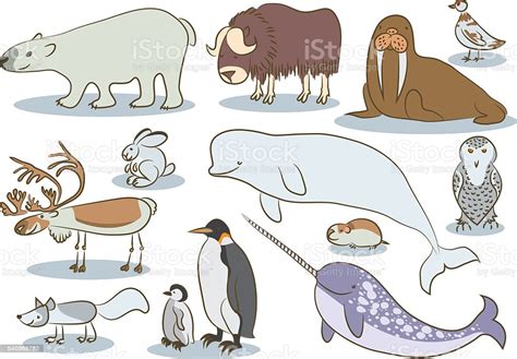 Maybe you would like to learn more about one of these? Polar Animals Kids Drawing stock vector art 540365782 | iStock
