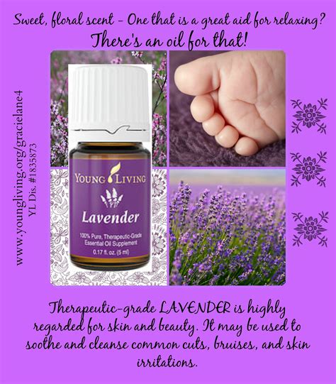 Lavender Essential Oil Yleo Gracielane4 Statements