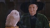 20 Years Ago Today Hedwig Died Saving Harry Potter - YouTube