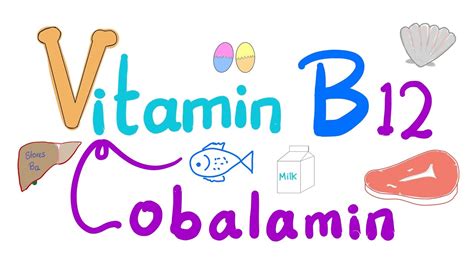 Vitamin B12 Cobalamin 🐚 🥩 🐠 Most Comprehensive Explanation Youtube