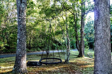 Hang A Swing Between Two Trees Arbor Swing Tire Swing Outdoor Swing