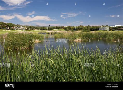 The Lake Next To The Golf Course At Quinta De Lago Ria Formosa Nature