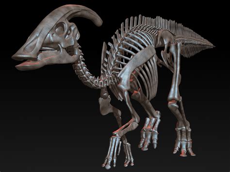 Parasaurolophus Skeleton Saurolophus D Model Turbosquid My Xxx Hot Girl