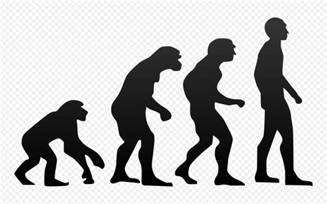 Lets Talk Primates No Humans Did Not Evolve From Monkeys