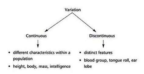 Continuous Discontinous Biology Notes For Igcse 2014