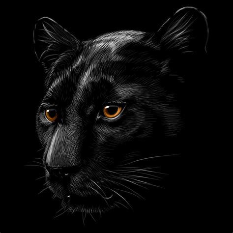 Black Panther Head Digital Art By Mix Art Fine Art America