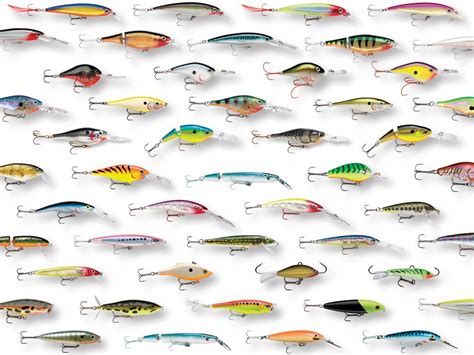 Lively Articles The Best Lure