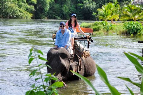 Best Time To Take An Elephant Ride In Bangkok Thailand Onestopthai