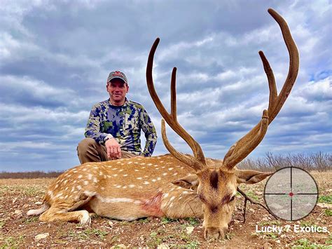 Texas Exotic Hunts Lucky 7 Exotic Ranch Experience The Hunt