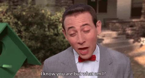 I Know You Are But What Am I Gif The Pee Wee Herman Show Paul