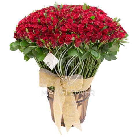 300 Red Roses Bouquet May Flower
