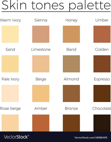 Skin Tones Color Palette Vector Skin Color Vector Chart Download A