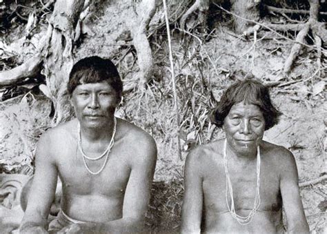 Arawak People Of Brazil Nude Telegraph