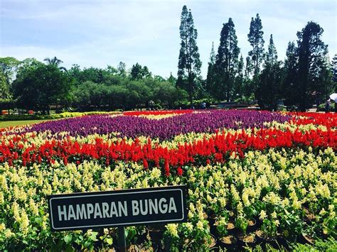 lima wisata taman bunga paling romantis di indonesia tagar