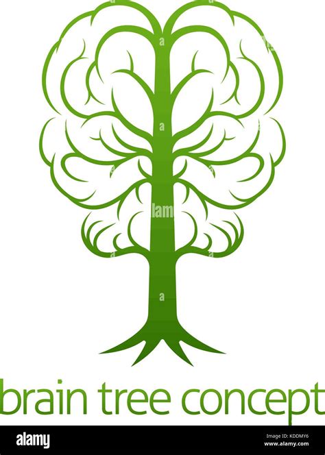 Brain Tree Concept Tree Roots High Resolution Stock Photography And