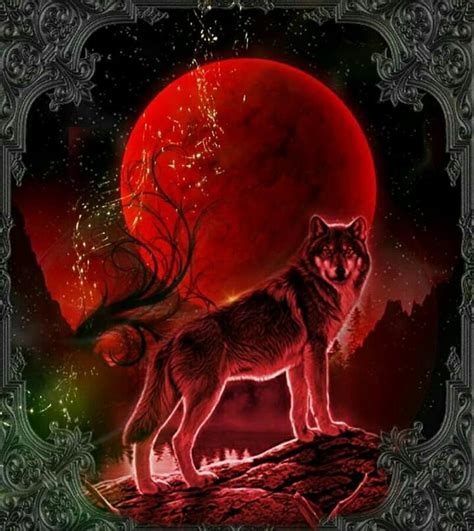 Red Moon Fantasy Wolf Magical Wolf Wolf Wallpaper