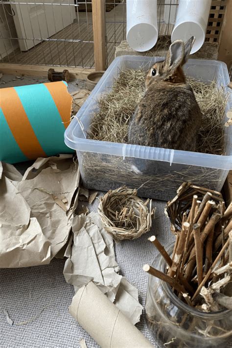 How To Make A Digging Box For A Rabbit House Rabbit Hub