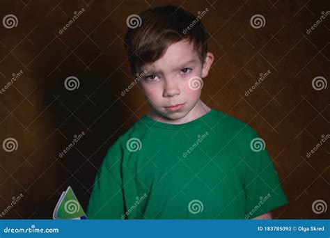 Portrait Of A Nine Year Old Blond Boy In A Green T Shirt On Brown