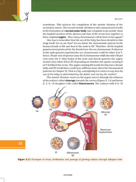 NCERT Book Class 12 Biology Chapter 3 Reproductive Health PDF