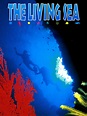 The Living Sea (1995) - Rotten Tomatoes