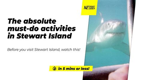🗺️ The Absolute Must Do Activities In Stewart Island Nz Nzpocketguide