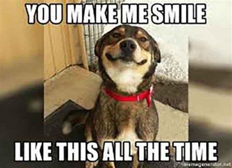 65 Funniest Smile Meme Meme Central