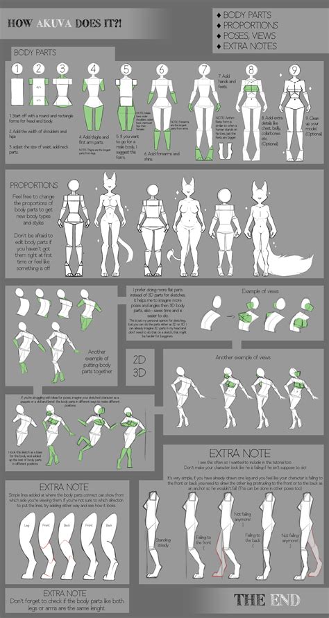 Basic Tutorial By Akuva Drawings Art Reference Furry Drawing