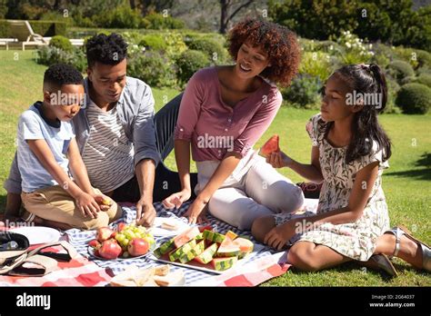 happy african american couple with son and daughter outdoors having picnic in sunny garden