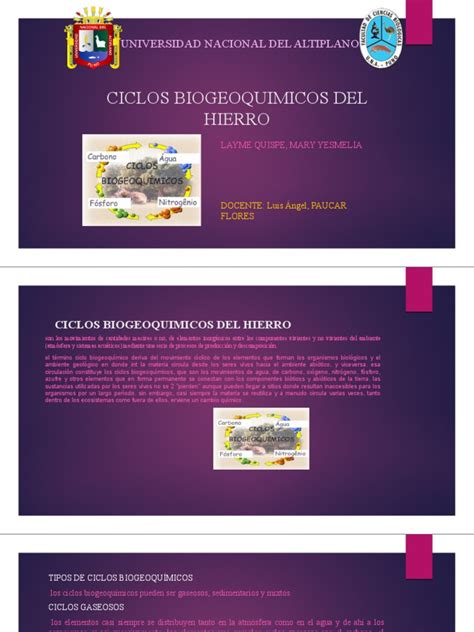 Ciclos Biogeoquimicos Del Hierro Pdf Oxígeno Elementos Químicos