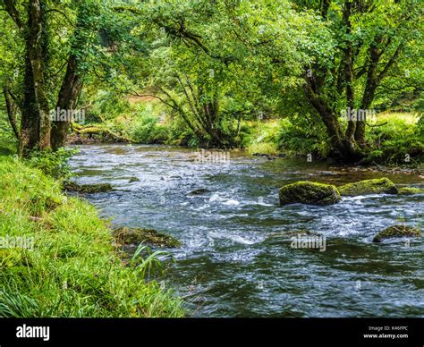 The River Barle In The Exmoor National Park Somerset Stock Photo Alamy