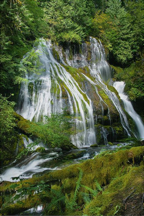 Panther Creek Falls Oregon Photograph By Oscar Gutierrez Pixels