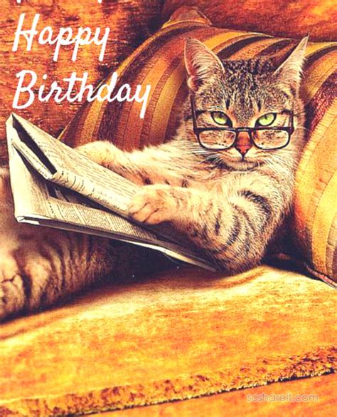 55 Happy Birthday Cat ️ Wishes Quotes Images And Memes