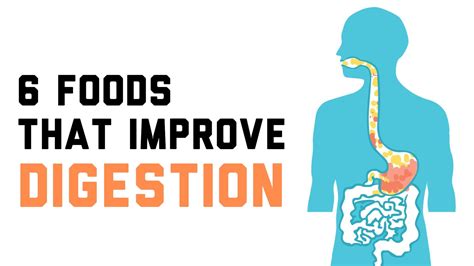 6 Foods That Improve Digestion Digestion Improve Digestion Healthy