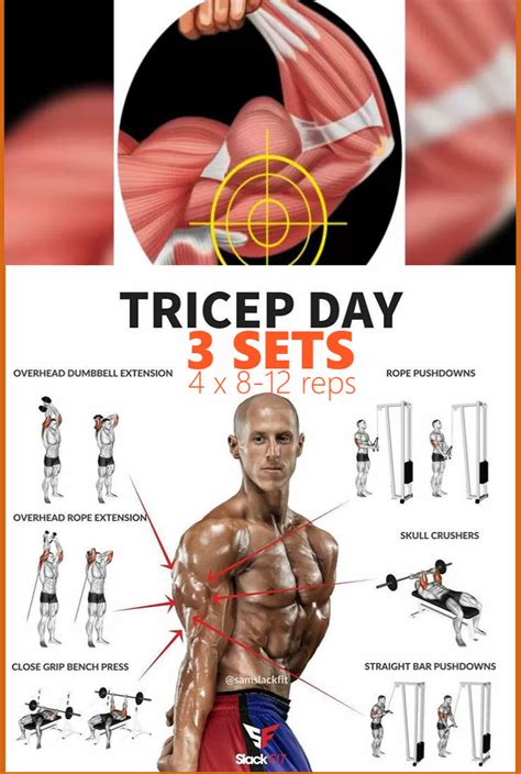 6 Exercises To Get Perfectly Shaped Triceps