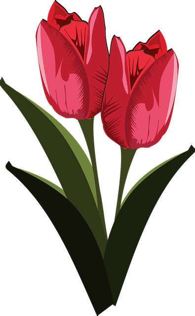 Sammlung von a r • zuletzt aktualisiert: Free vector graphic: Clip Art, Flor, Flora, Flower - Free ...