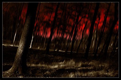 Forest In Blood By Josephsos On Deviantart