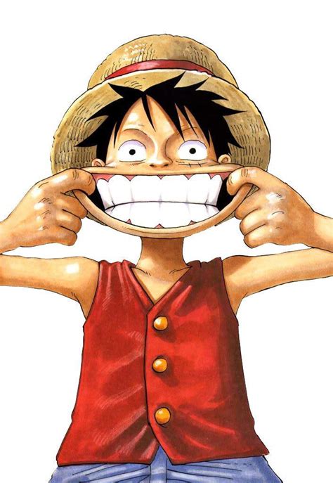 Monkey D Luffy Wiki One Piece Amino