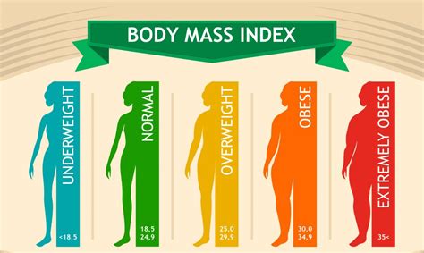 What Is Body Mass Index BMI How It Is Calculated Doss India