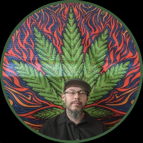 Daniel Vo Founder And Ceo Stoner Krew Productions Linkedin