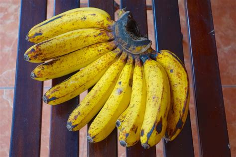 13 Different Types Of Bananas Popoptiq