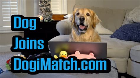 Dog Joins Dating Website Youtube