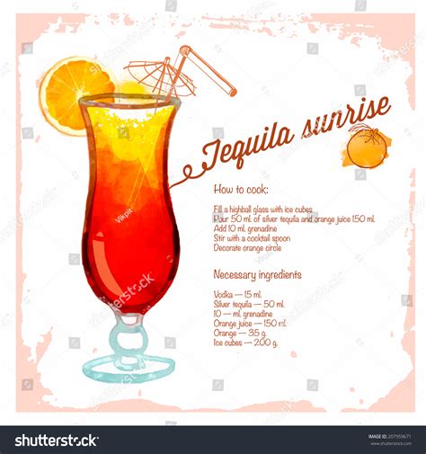 Tequila Sunrise Cocktails Drawn Watercolorrecipes Ingredients Stock Vector 207959671 Shutterstock