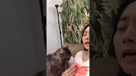 Kucing Aja Muncrat Ama Tante Sexy Ini Youtube