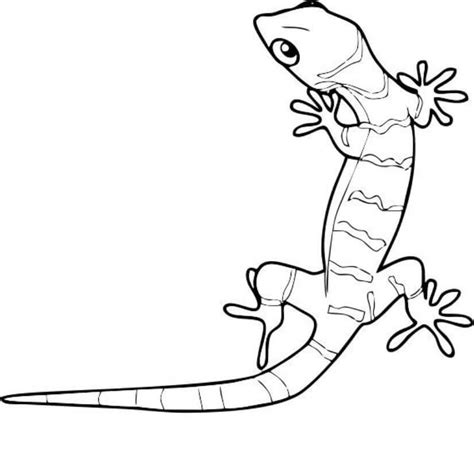 Gecko Feliz Para Colorear Imprimir E Dibujar Dibujos Colorear