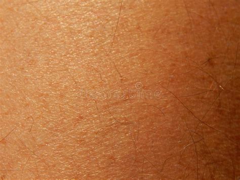 Human Skin Texture In Various Parts Stock Image Image Of People