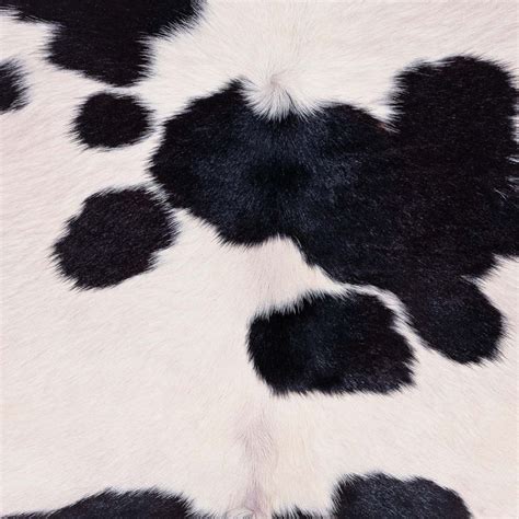 Black And White Cow Hide Cheetah Print Wallpaper Cow Spots Cow Hide