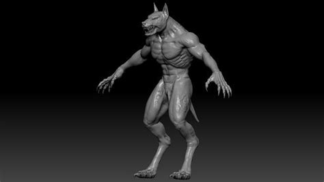 Werewolf High Quality Sculpt 3d Model Cgtrader
