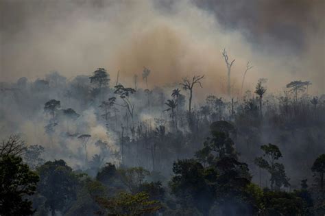 Amazon Deforestation Increases 25 Percent In Brazil Ibtimes