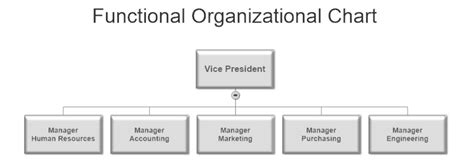 Functional Organizational Chart Caitlynrilbond