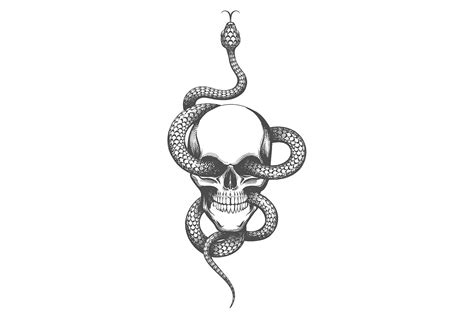 Skull And Snake Tattoo Drawn In Engraving Style By Olena1983